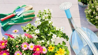 A flatlay of gardening tools including garden gloves and a watering can.