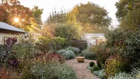 10 essential gardening jobs to complete during winter