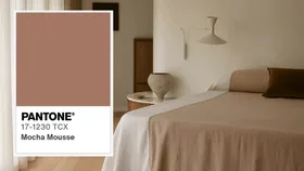 Introducing Mocha Mousse, Pantone’s colour of the year for 2025