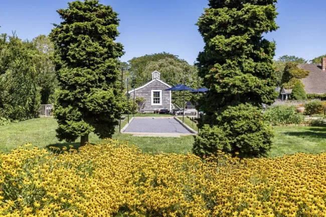 A small house with a garden, two tall trees, and yellow flowers in the foreground under a clear blue sky.