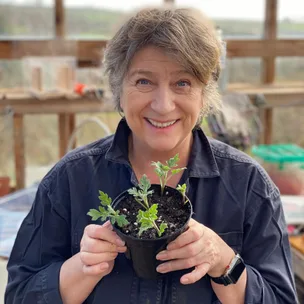 Caroline Quentin holding a potted plant