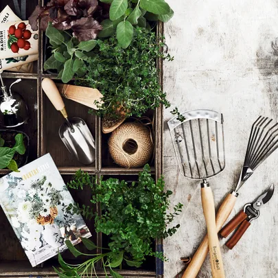 Gardening tools, plants, and seeds are arranged neatly on a rustic wooden surface, alongside garden twine and a magazine.