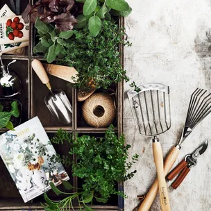 Gardening tools, plants, and seeds are arranged neatly on a rustic wooden surface, alongside garden twine and a magazine.