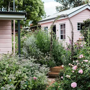 How to give your plants just the right amount of water