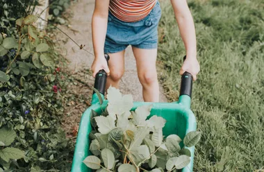 A kid pushing a wheelbarrow full of greenery