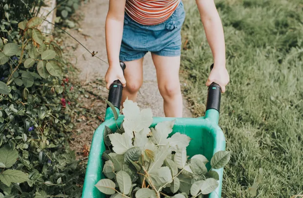 A kid pushing a wheelbarrow full of greenery