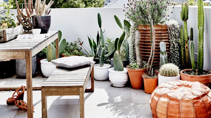 Outdoor patio with various potted cacti, wooden table and bench, leather pouf, and sandals on the floor.
