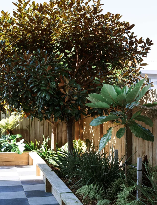 The outdoor courtyard out the back of the Mount Maunganui bungalow