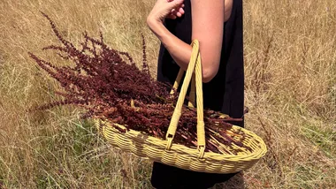 A woman carrying a garden trug through a field