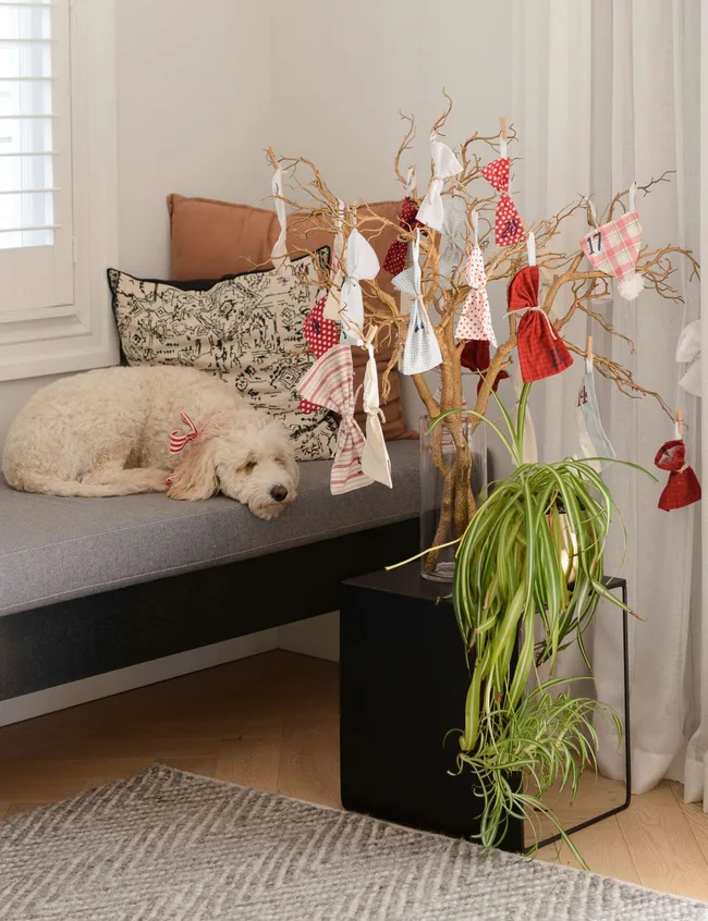 A dog sleeping on a window seat beside a homemade advent calendar