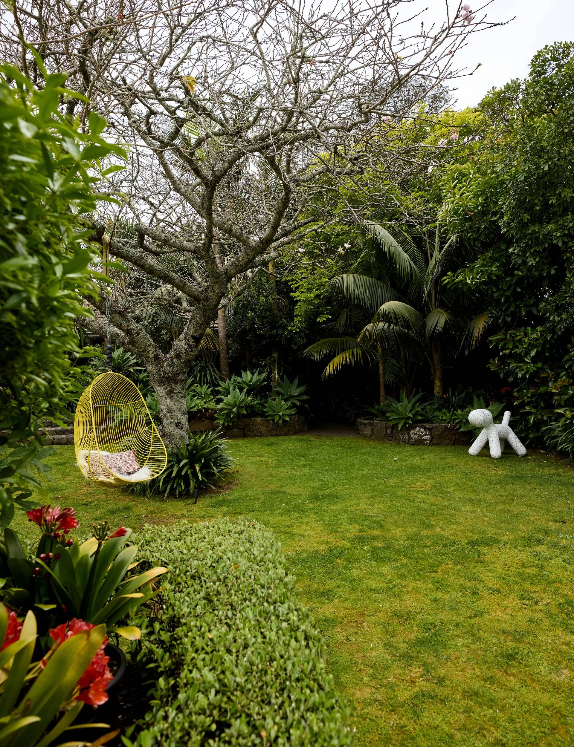 The Auckland art deco home back yard with a yellow hanging egg chair in a tree