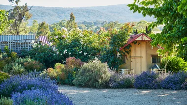 How to get rid of mosquitoes and keep your home mozzie-free