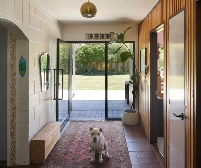 A dog sitting on the mat in the Christchurch home entryway after the renovation
