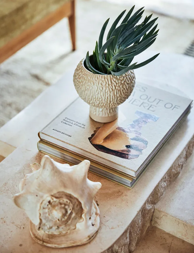 A shell and vase decorating the coffee table