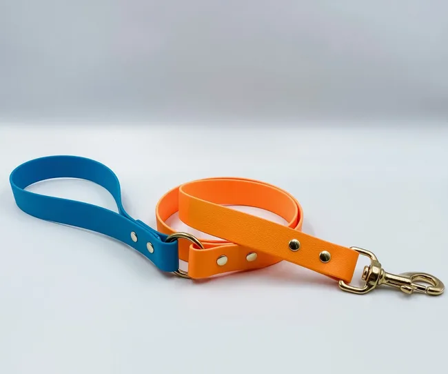 A blue and orange dog leash