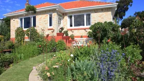 The view of the One Tree Hill garden from the road