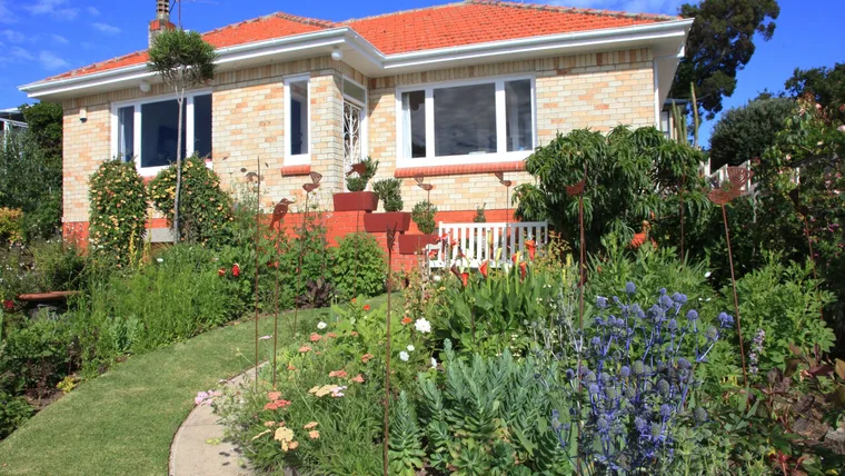 The view of the One Tree Hill garden from the road