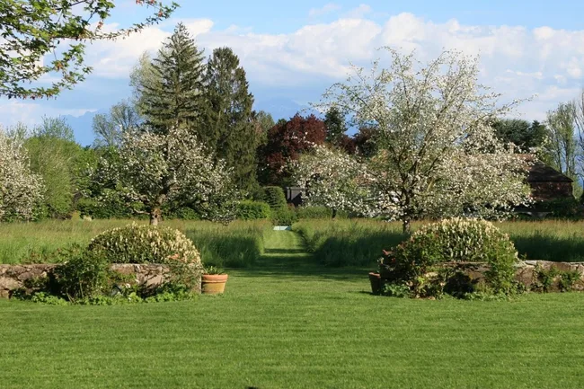A lush green park