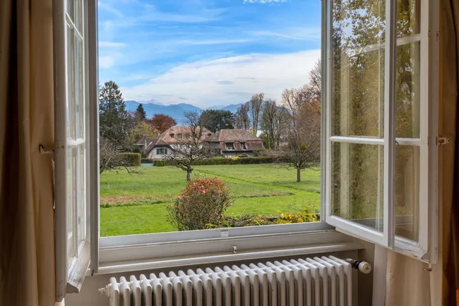 Looking out a window to a view of a garden