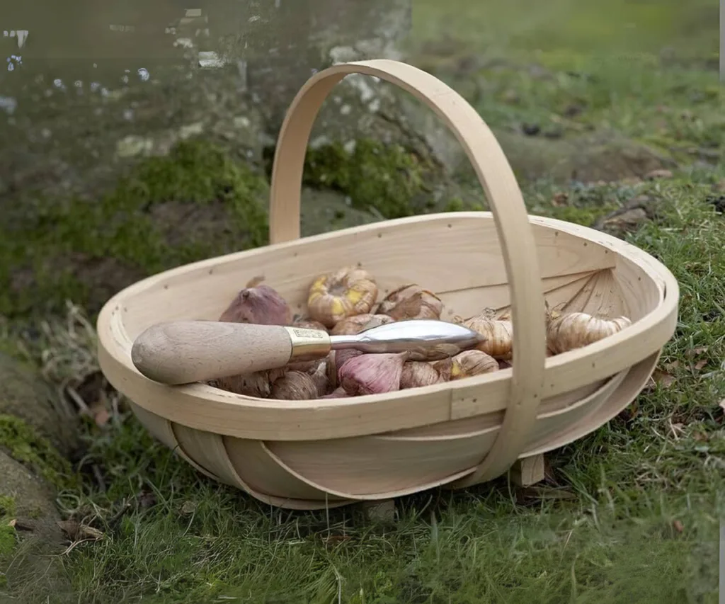 A traditional wooden garden trug with onions inside