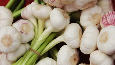 How to grow your own garlic at home