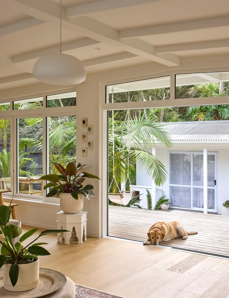 Dog lays on the courtyard that becomes a natural thoroughfare in this Titirangi home