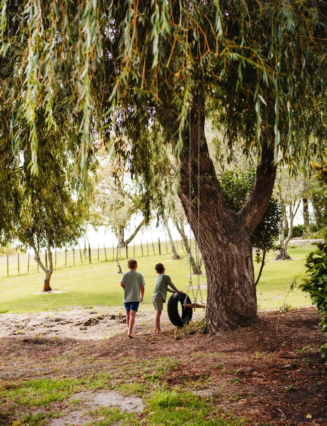 The kids playing with a tyre swing on an old tree outside the Auckland homestead