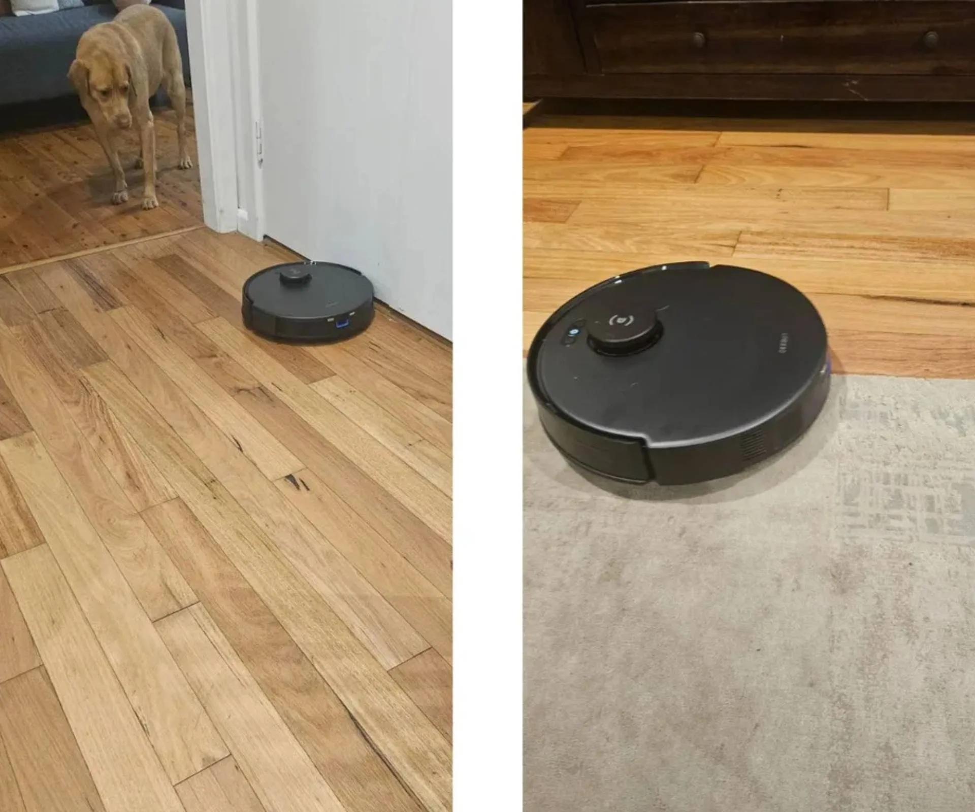 The Ecovacs Deebot N20 Pro Plus vacuum on hardboard flooring and carpet rug
