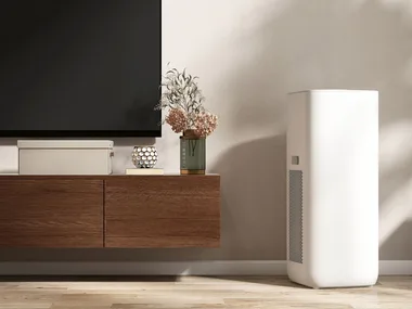 6 best dehumidifiers for a dryer, healthier home