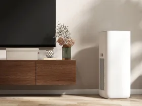 6 best dehumidifiers for a dryer, healthier home