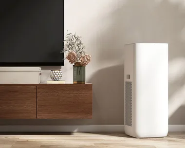 6 best dehumidifiers for a dryer, healthier home