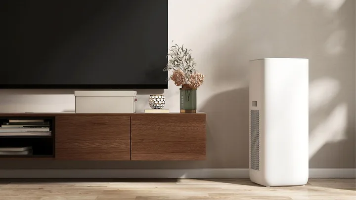 6 best dehumidifiers for a dryer, healthier home