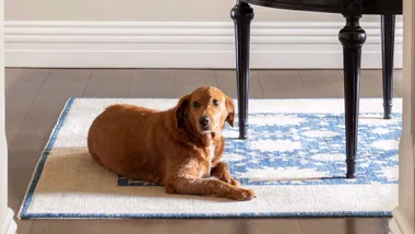 The best rugs to cosy up your space, and where to buy them
