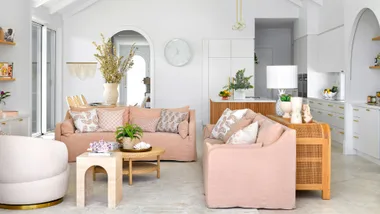 Five natural mould removers for a healthier home