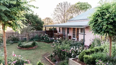 A cottage garden full of shade loving plants