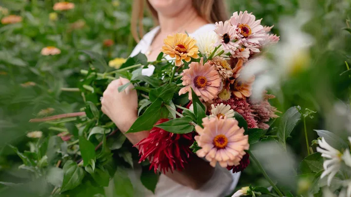 Oh Dahlia! Madeleine Lambert of Petal & Twine shares her dahlia growing tips