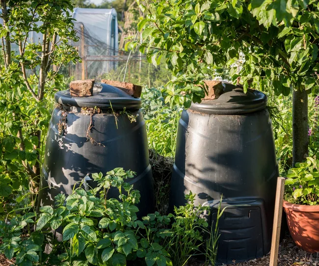 Twp compost bins
