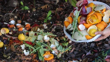 Compost
