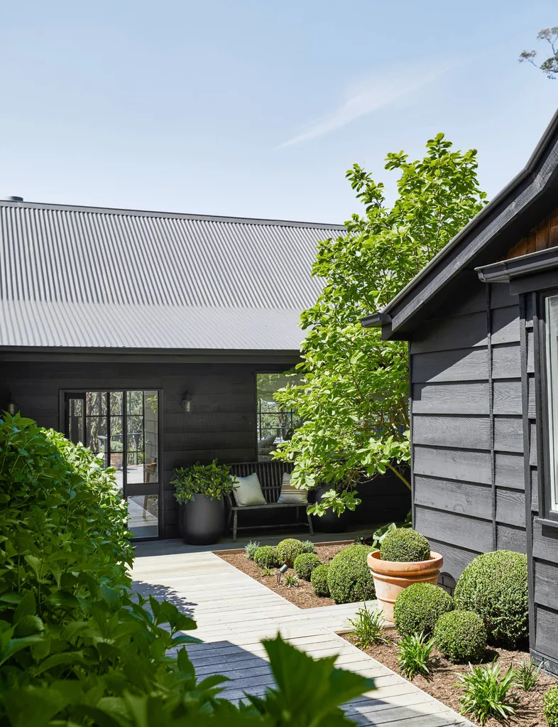 entry of house with plants