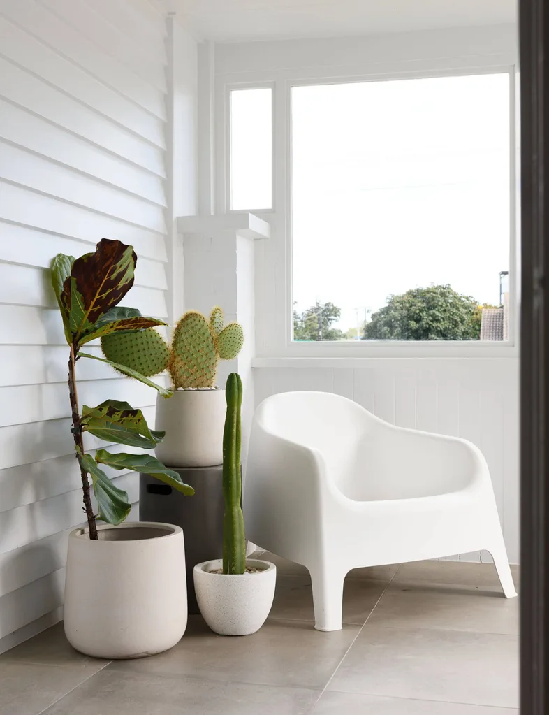 corner with cactus plants and outdoor chair