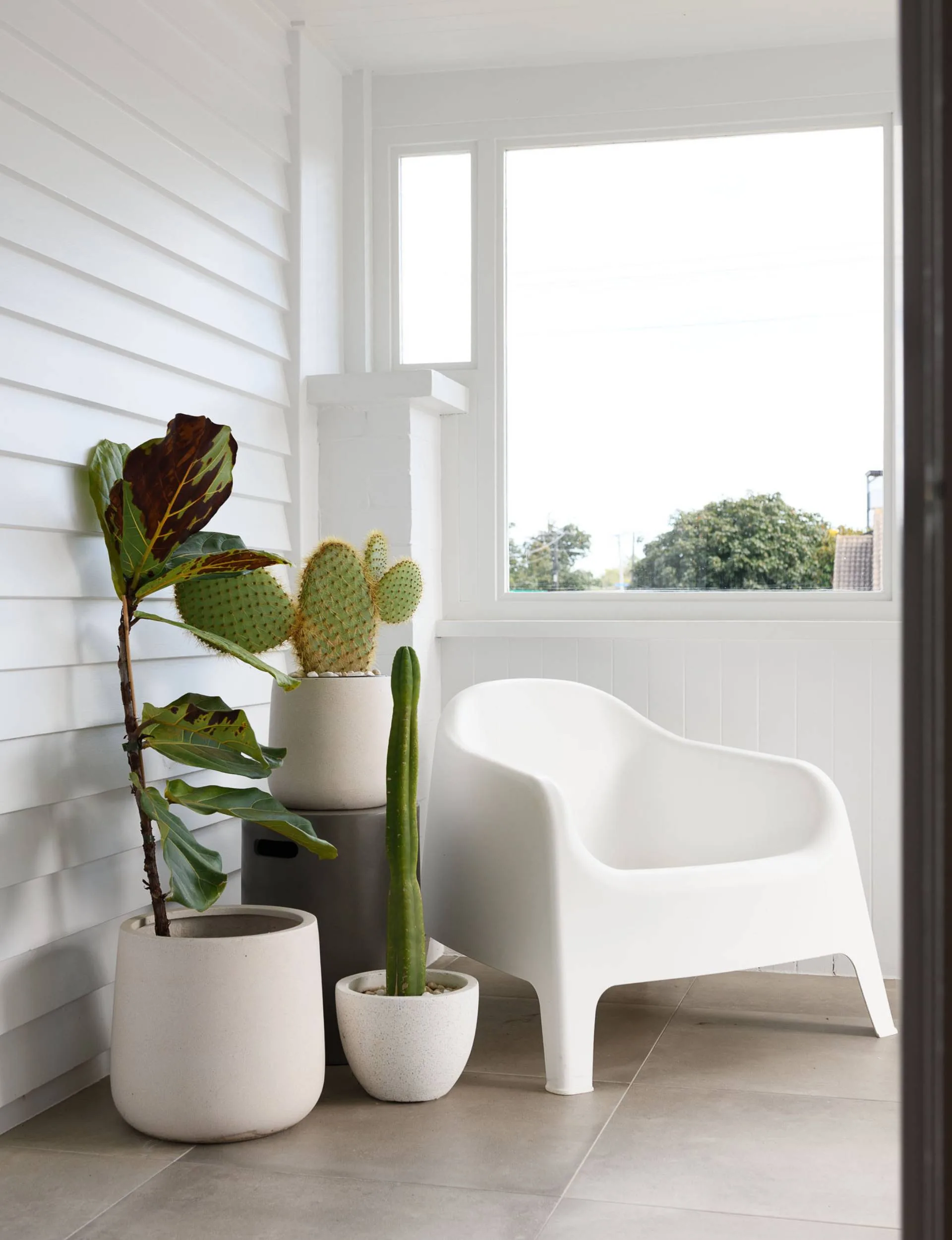 corner with cactus plants and outdoor chair