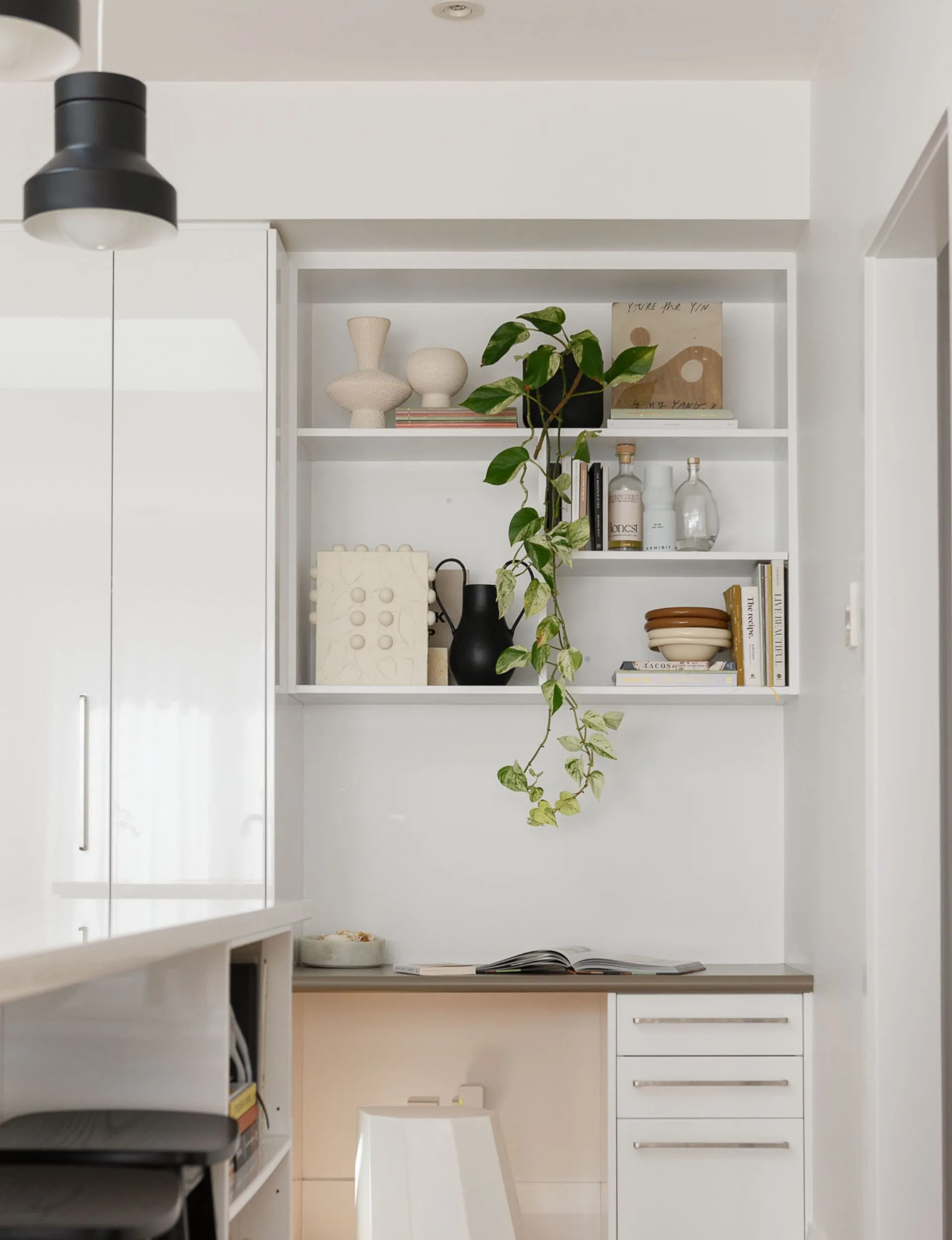 book shelf with plant