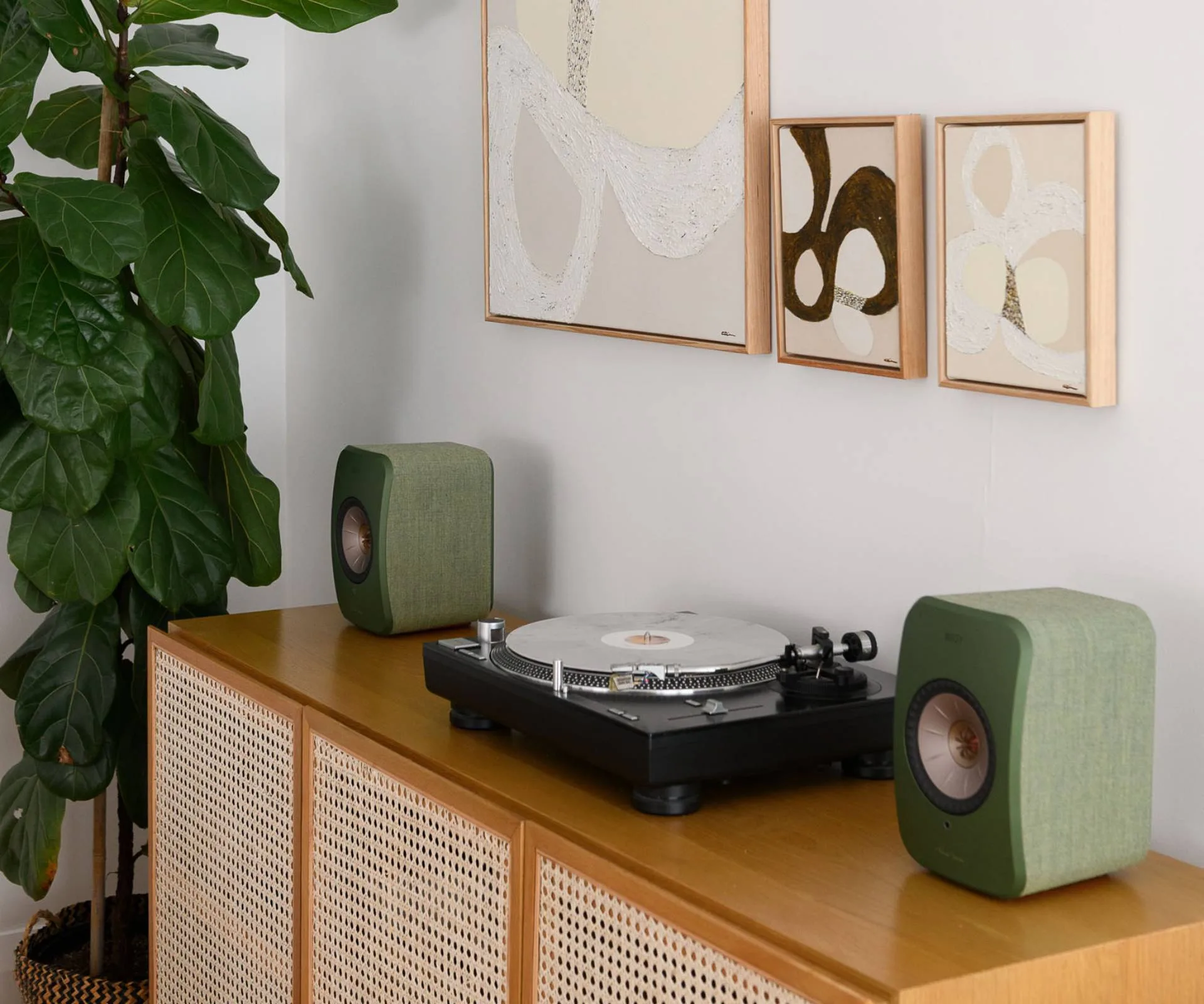 speaker and vinyl 