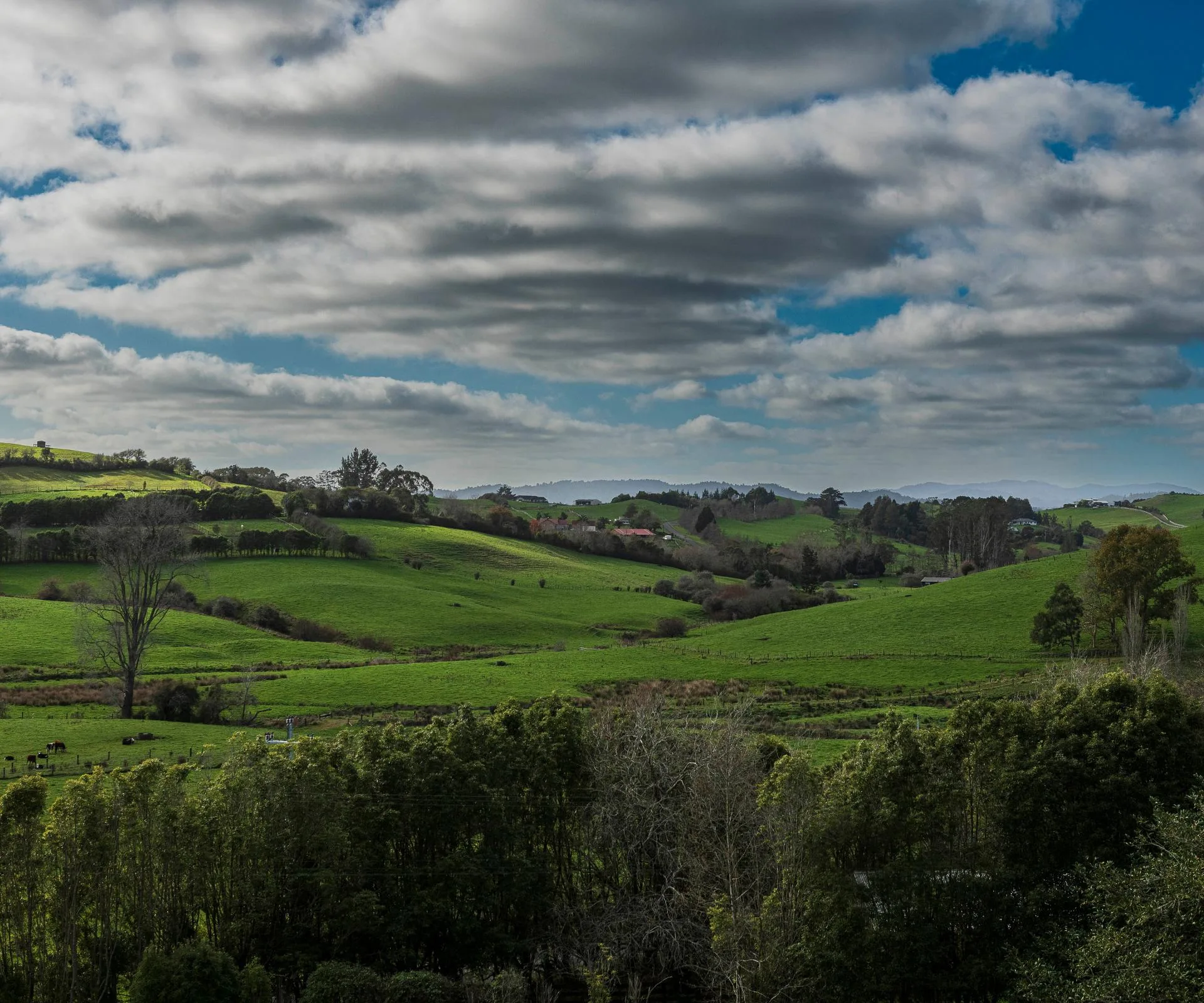 The view of the Auckland landscape from this Ararimu farmhouse. 