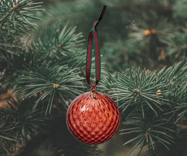 Red class Christmas decoration