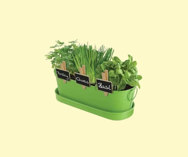 A small planter for herbs to go on the windowsill