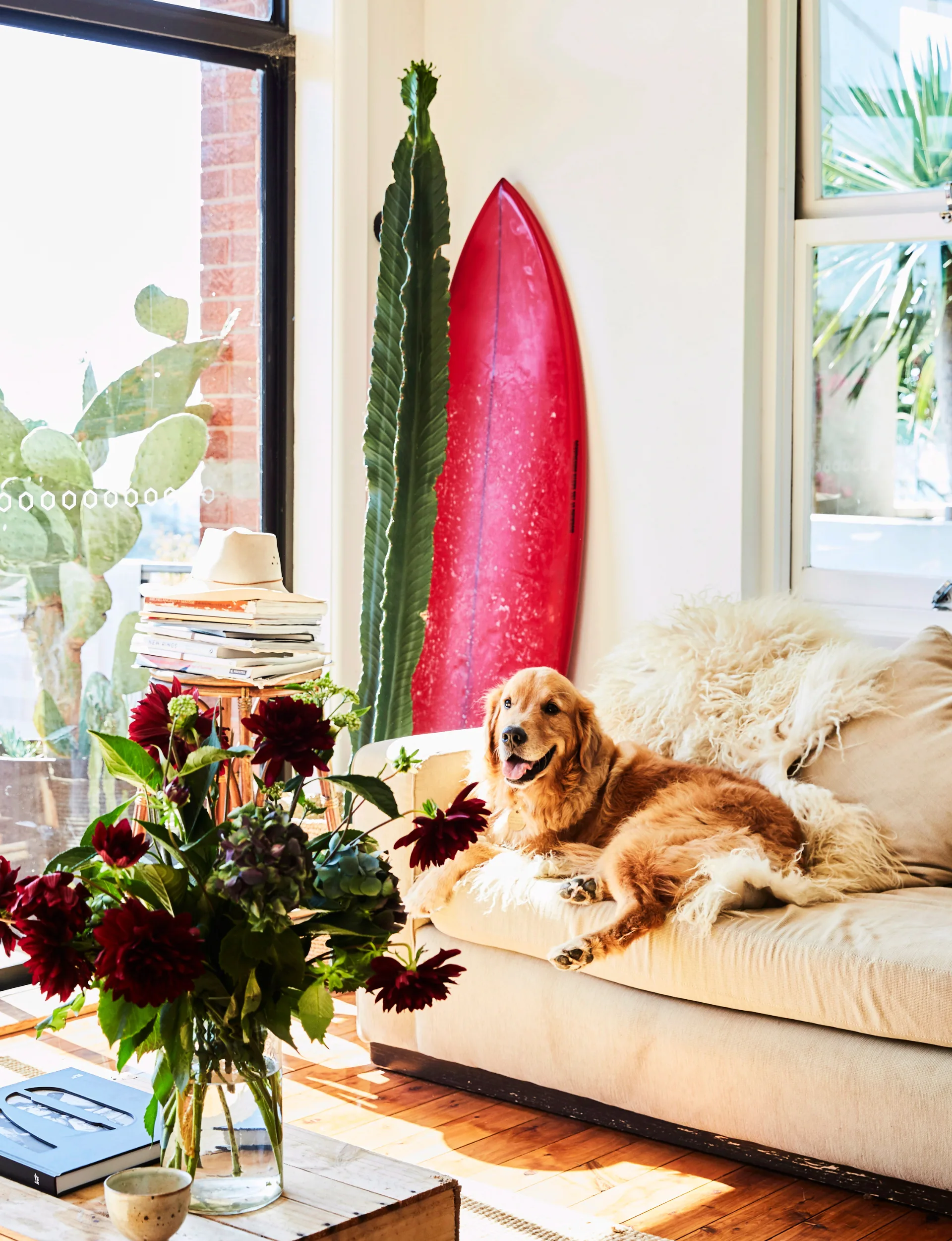 New Zealand coastal home