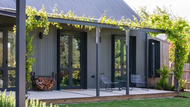 How to train climbers to cover your fence