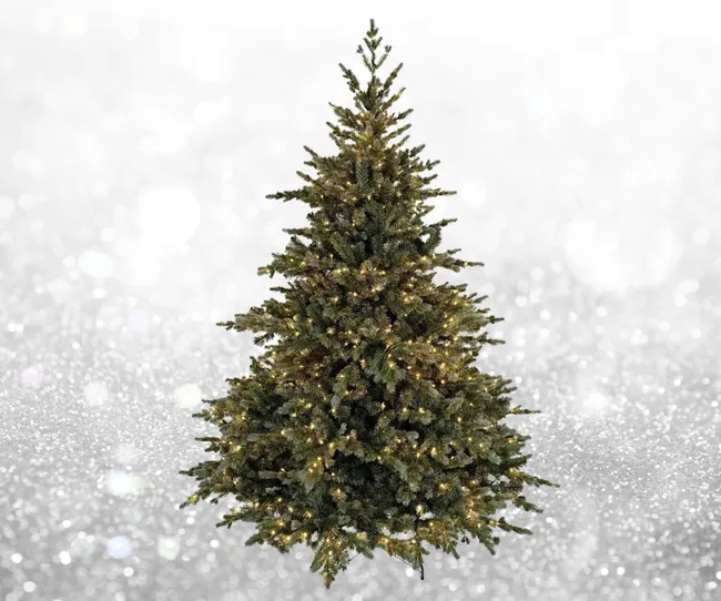 Evergreen Fir LED Lit 7 Ft Christmas Tree