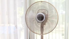 The best cooling fans to beat the summer heat